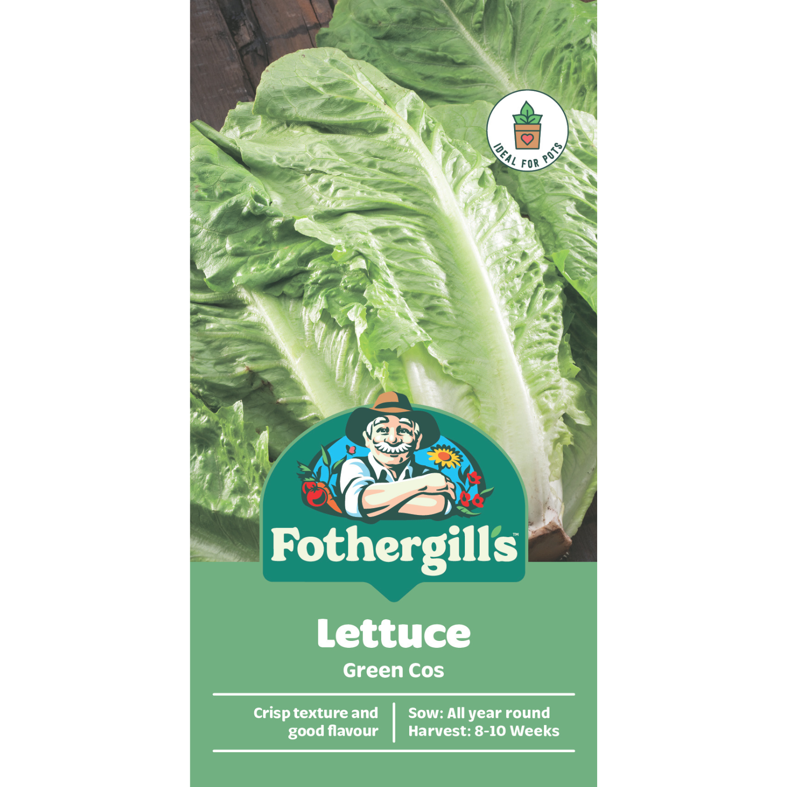 Mr Fothergill's Green Cos Lettuce Vegetable Seeds