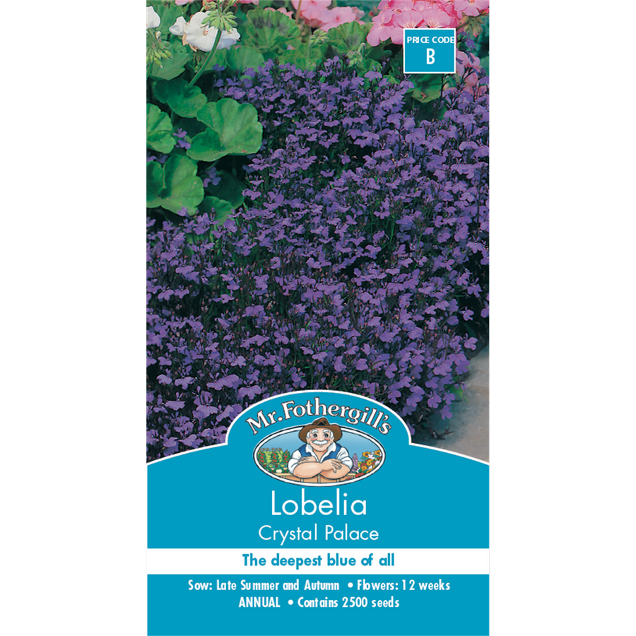 Mr Fothergill Lobelia Crystal Palace Flower Seeds - 15cm - Annual - Blue Flowers - SuperSaverAU - view 1