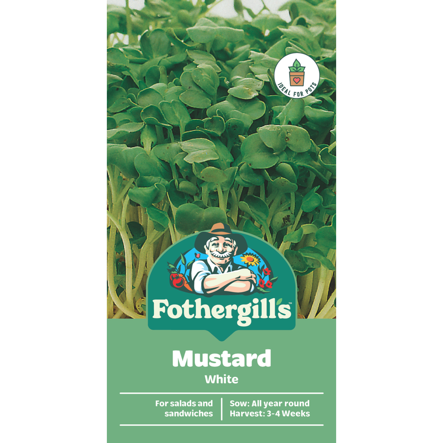 Mr Fothergill's Mustard Seeds - Crunchy Peppery Salad Green, Sun or Part Shade