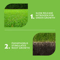 Munns Professional 2.4L Golf Course Green Lawn Fertiliser Hose-On