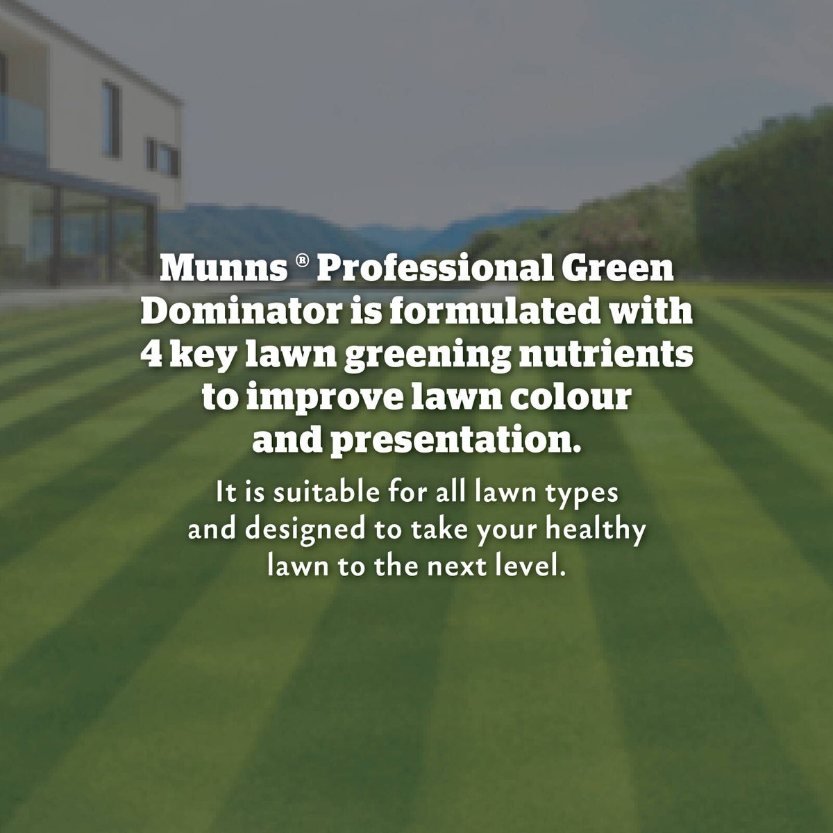 Munns Professional Green Dominator Lawn Fertiliser 2.4L - Hose-On - 200m² Coverage - SuperSaverAU - view 3