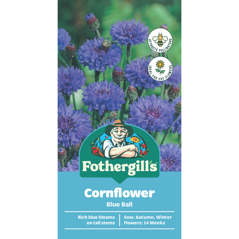 Mr Fothergill's Cornflower Blue Ball Flower Seeds - Hardy Cottage Garden Annual