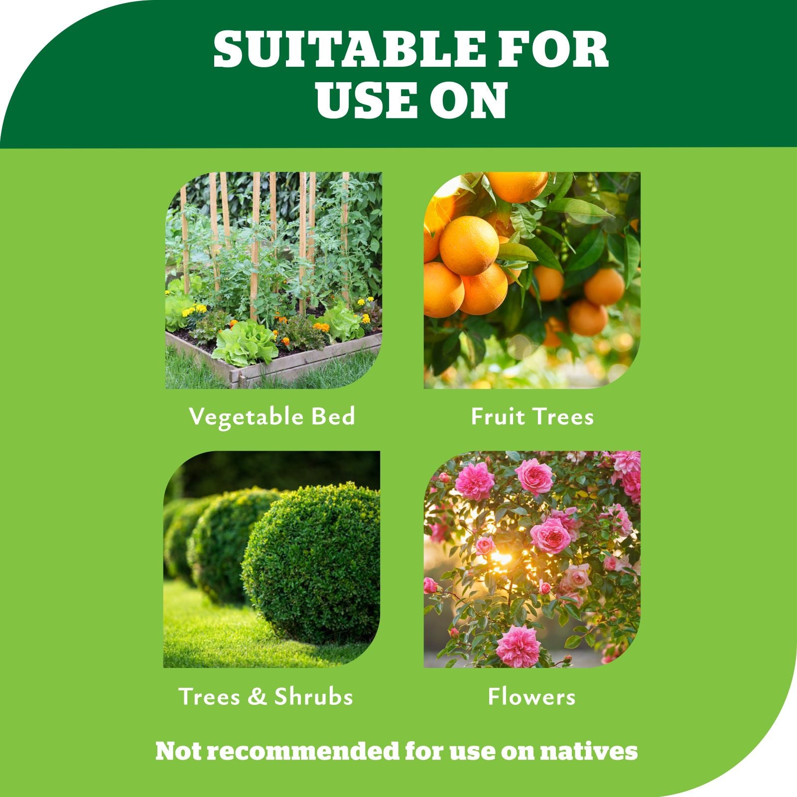 Yates Blood & Bone Plant Food 10kg - Organically Based with Potash Fertiliser