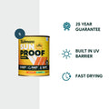 Taubmans Sunproof 1L Accent Low Sheen Exterior Paint - UV Resistant, 16m2/L, Tintable