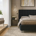 A.H. Beard Domino Antwerp Medium Queen Mattress - Conforma Coil 3 Zone - Climalux - DOANTMMQUE