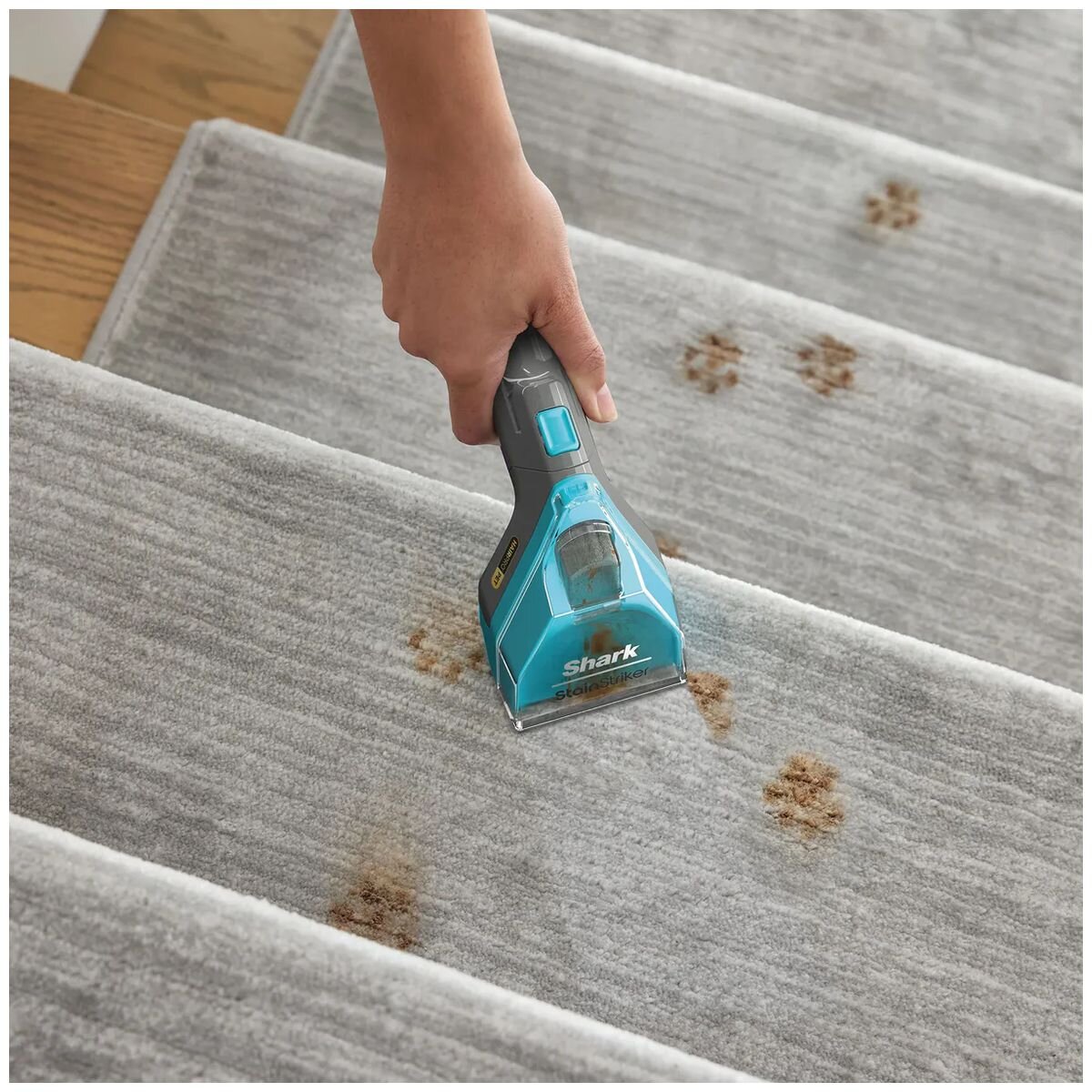 Shark upright cleaner with StainStriker and HairPro pet technology - bagless, 1000W - EX300