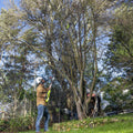 Ryobi 18V One EZ Reach HP 10” Pole Pruner Attachment - Efficient Pruning Tool - SuperSaverAU - view 3