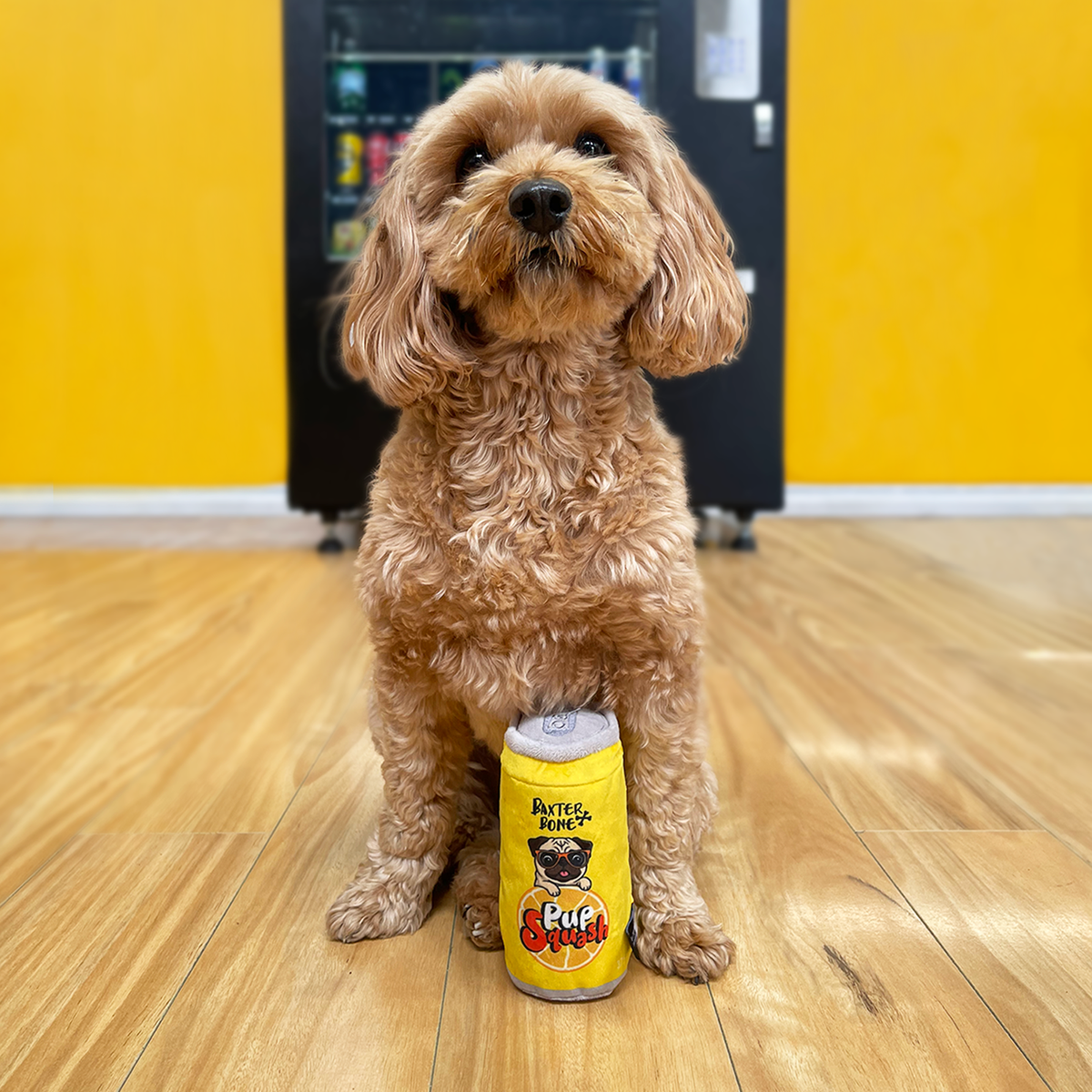 Baxter Bone Pup Squash Soda Can Pet Toy - Plush - 60mm x 140mm - Squeaker - SuperSaverAU - view 4