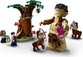 LEGO 75967 Harry Potter Forbidden Forest: Umbirdge’s Encounter - SuperSaverAU - view 3