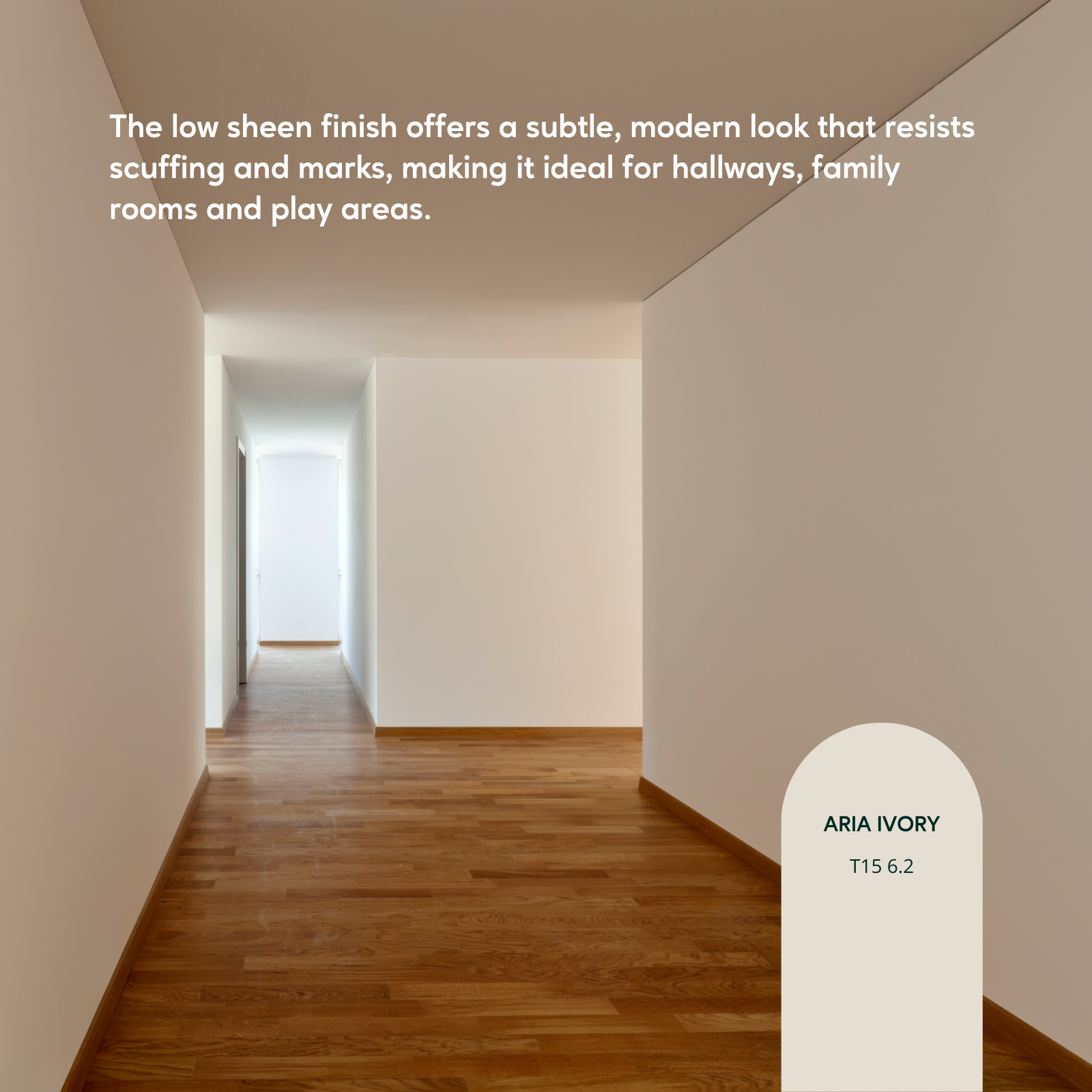 TAUBMANS Endure 2L Accent Low Sheen Interior Walls Paint Water Based UV Resistant