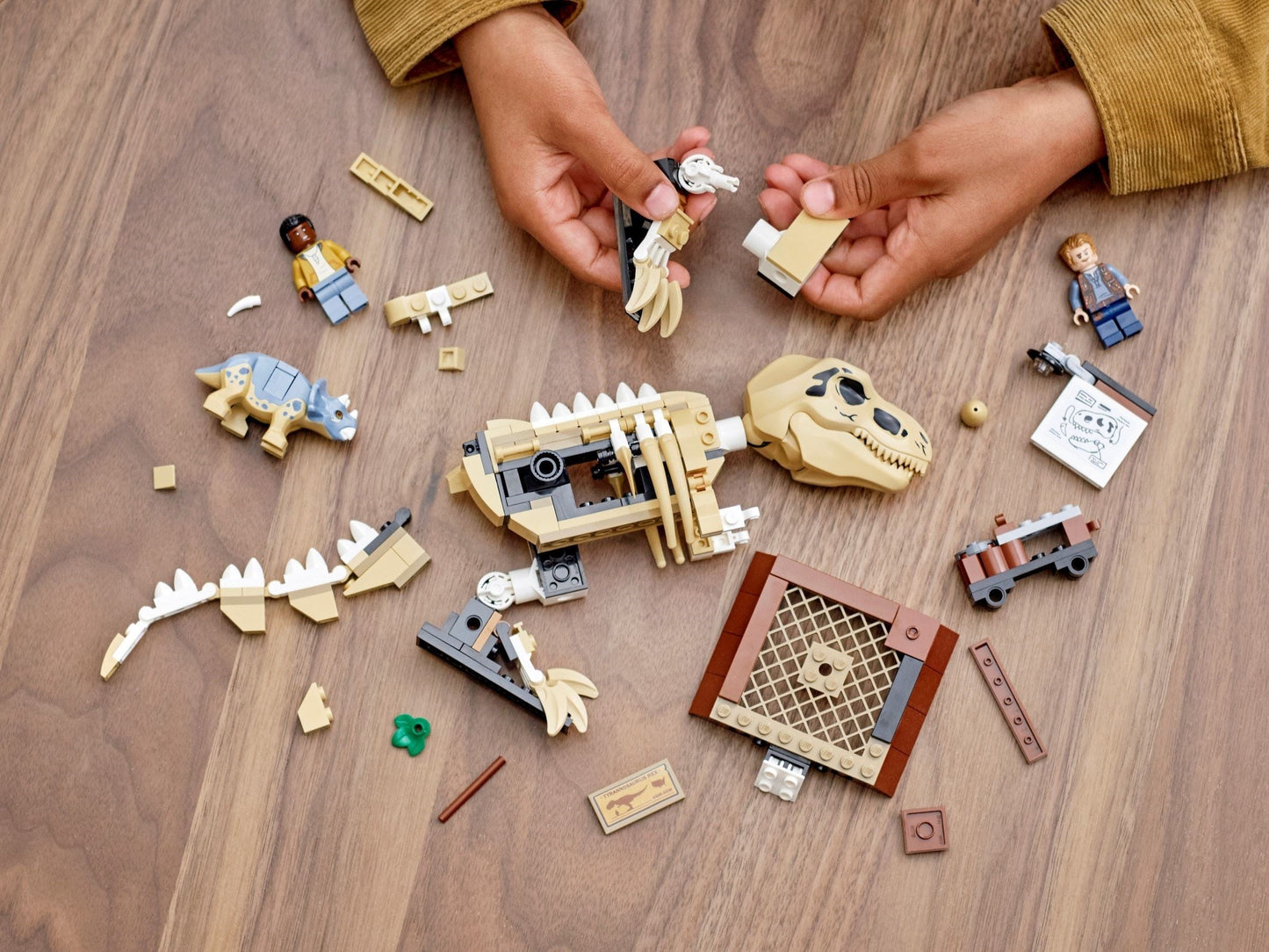 LEGO 76940 Jurassic World T. rex Dinosaur Fossil Exhibition