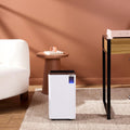 Ausclimate Compact 12L Smart Dehumidifier - Wi-Fi Control, R290 Refrigerant, Digital Display - ACD212