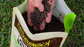 Seasol Lawn + Soil Booster 5kg Granular Time-Release Fertiliser