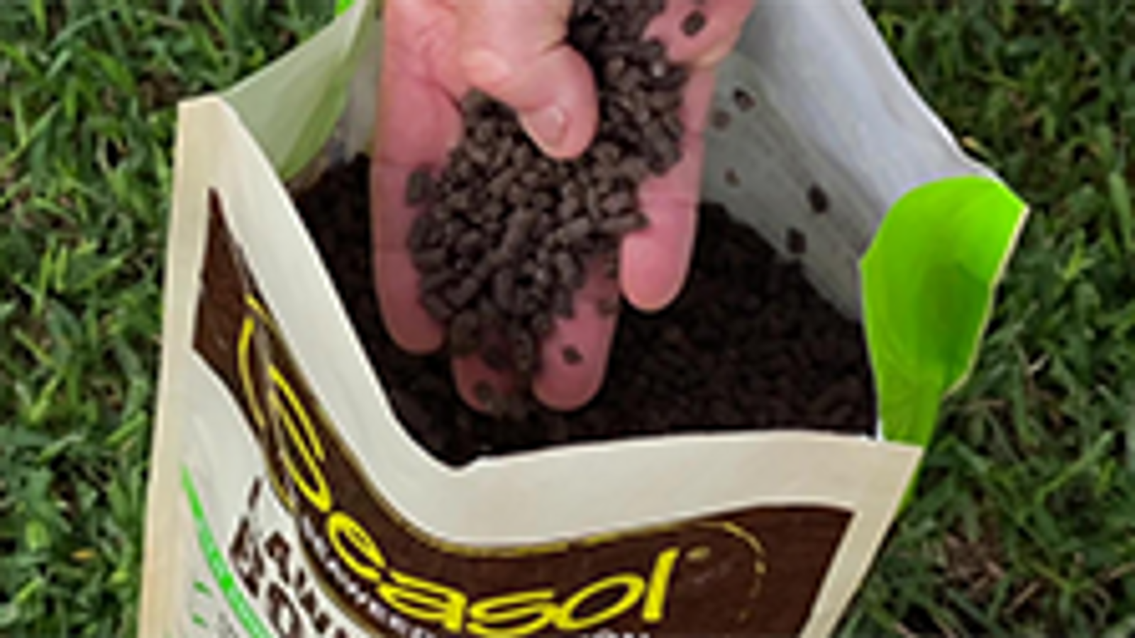 Seasol Lawn + Soil Booster 5kg Granular Time-Release Fertiliser