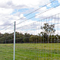 Jack Galvanised High Tensile Barbed Wire 1.57mm x 100m