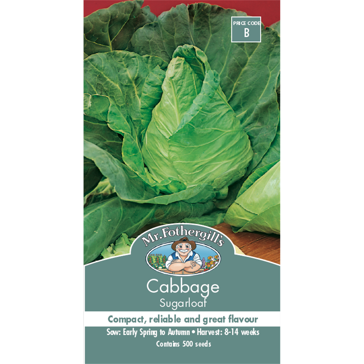 Mr Fothergill Sugarloaf Cabbage Seeds 75mm Green Sweet Flavor - SuperSaverAU - view 1