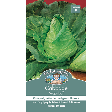 Mr Fothergill Sugarloaf Cabbage Seeds 75mm Green Sweet Flavor - SuperSaverAU - view 1