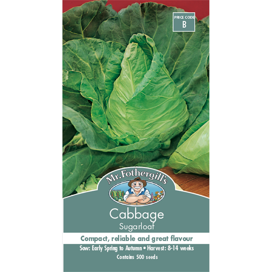 Mr Fothergill Sugarloaf Cabbage Seeds 75mm Green Sweet Flavor - SuperSaverAU - view 1