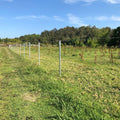 Jack Barbed Wire - 1.57mm x 100m - Galvanised - High Tensile - SuperSaverAU - view 3