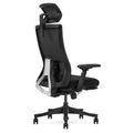 Lifespan Fitness DM9 Ergonomic Mesh High Back Office Chair - Adjustable Lumbar, 3D Armrests - LFOC-DM9BK-1