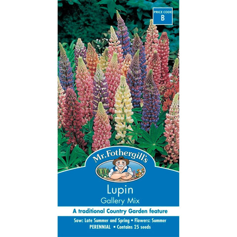 Mr Fothergill Lupin Gallery Mix Seeds 120cm Mixed Attracts Insects - SuperSaverAU - view 1