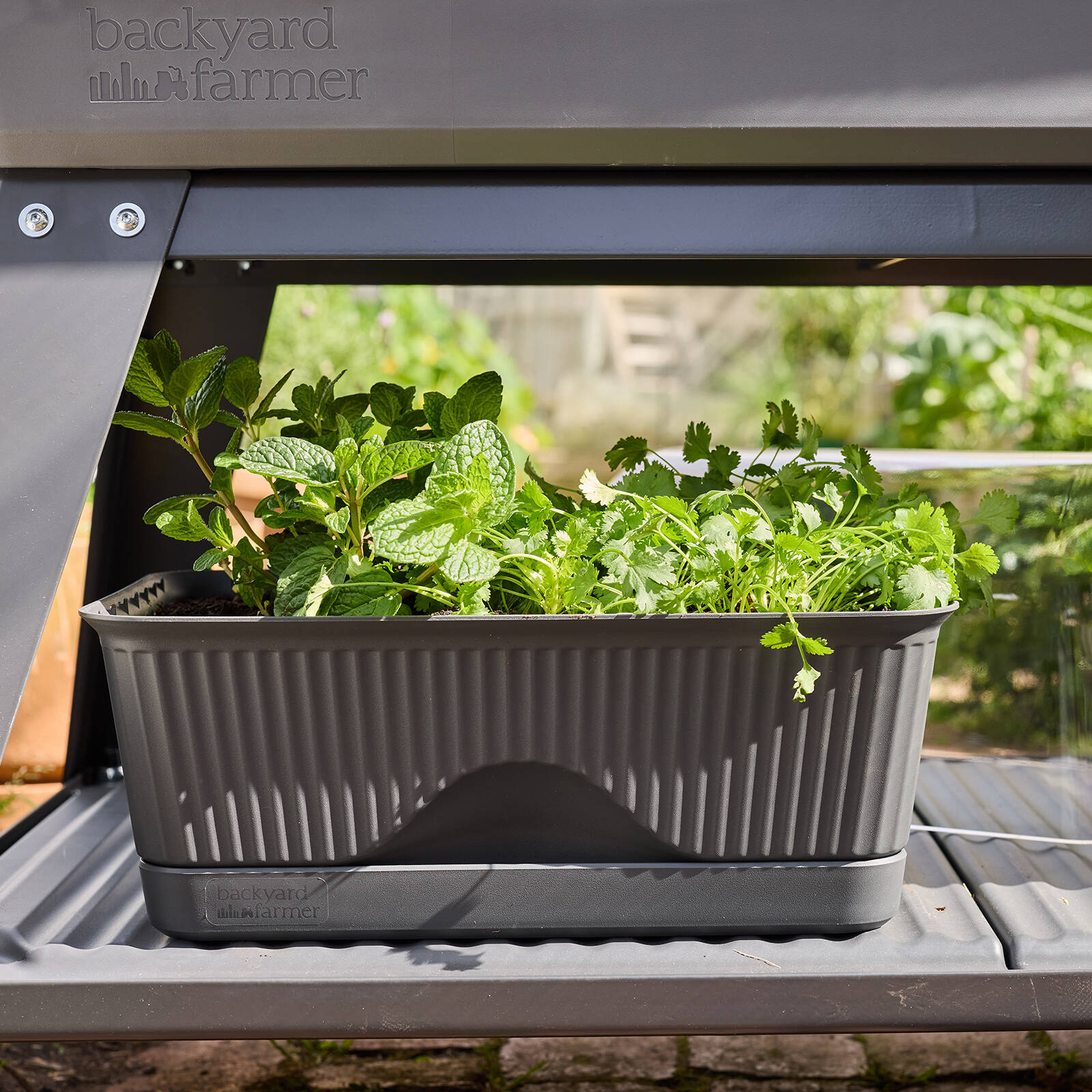 Backyard Farmer Lula Mini Greenhouse, Grey Seed Propagator