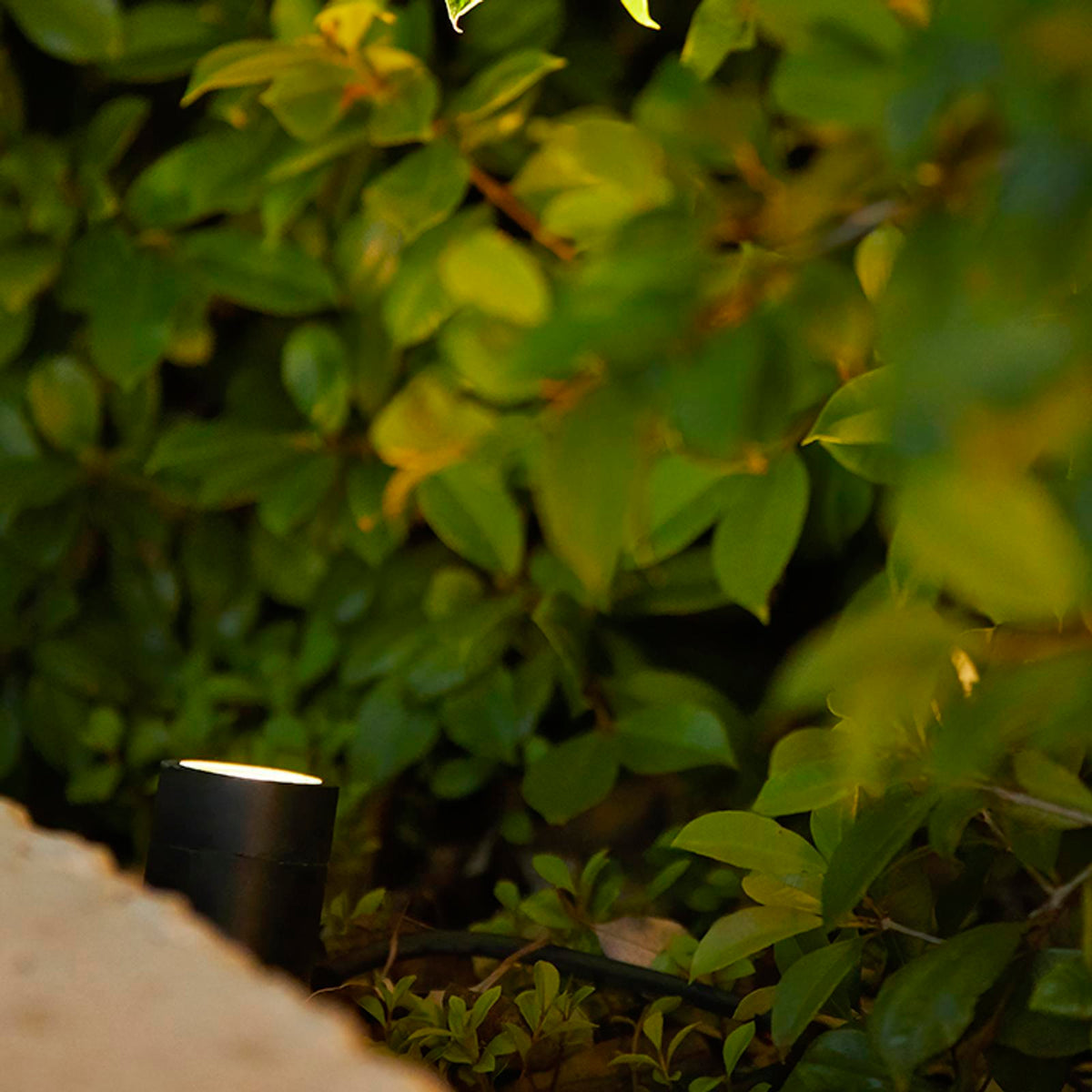 Elluminate 2W 12V Bluetooth Garden Spotlight Kit 4 Pack Dusk to Dawn