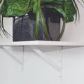 Carinya Light Stayed Bracket - 150 x 125mm - Powder Coated Steel - 100kg Load - SuperSaverAU - view 3