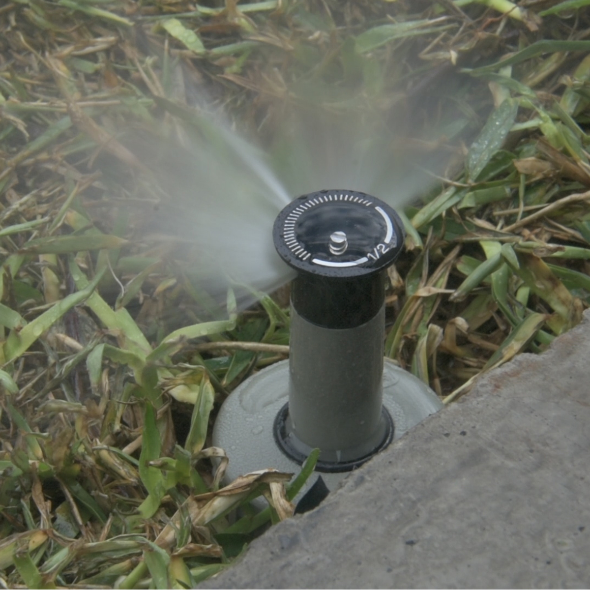 Pope 50mm Pop-Up Sprinkler - ABS Plastic - ½ Circle - Water Efficient - SuperSaverAU - view 5