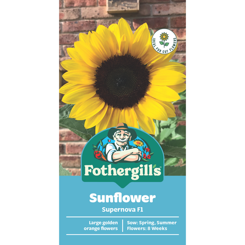 Mr Fothergill's Sunflower Supernova F1 Flower Seed