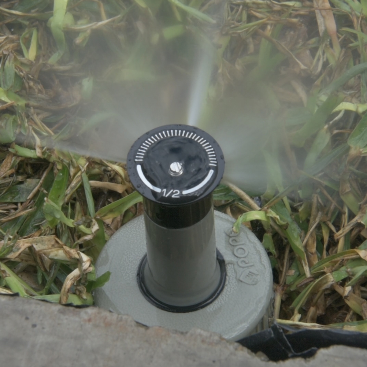 Pope 50mm Pop-Up Sprinkler - ABS Plastic - ½ Circle - Water Efficient - SuperSaverAU - view 4