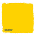 Dulux 340g Dandelion Yellow Gloss Spray Paint, Indoor, 2.2m2/L Coverage