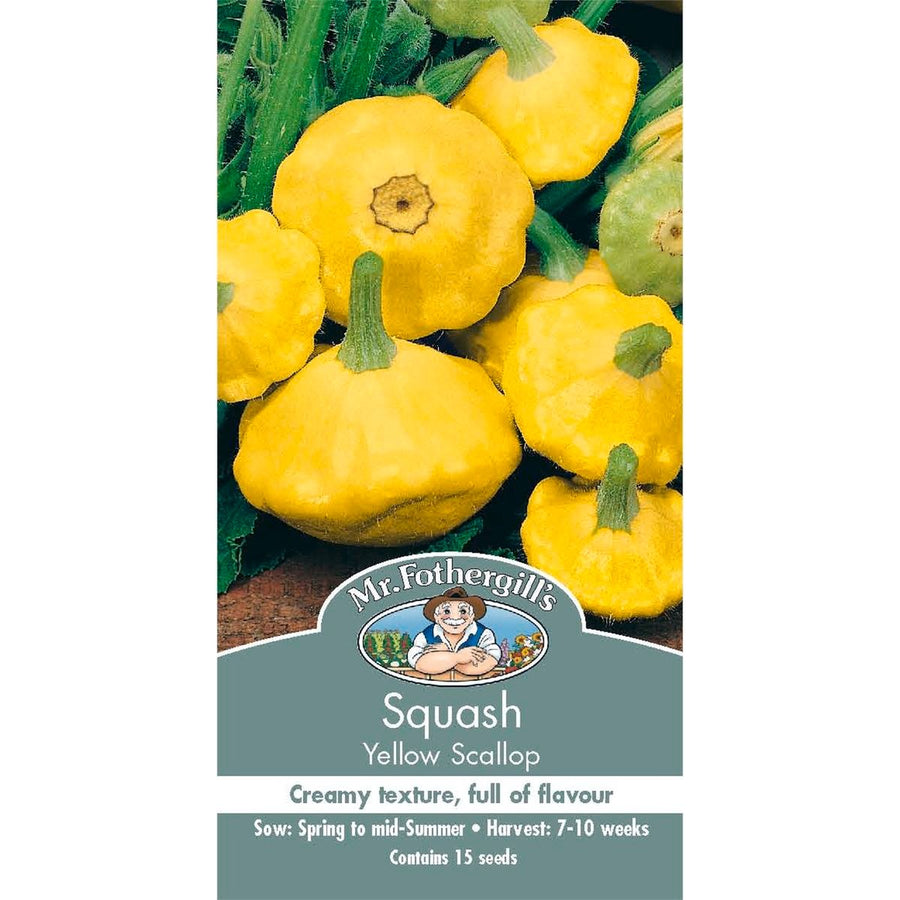 Mr Fothergill's Yellow Scallop Squash Seeds - 10 Weeks - Easy Grow - SuperSaverAU - view 1