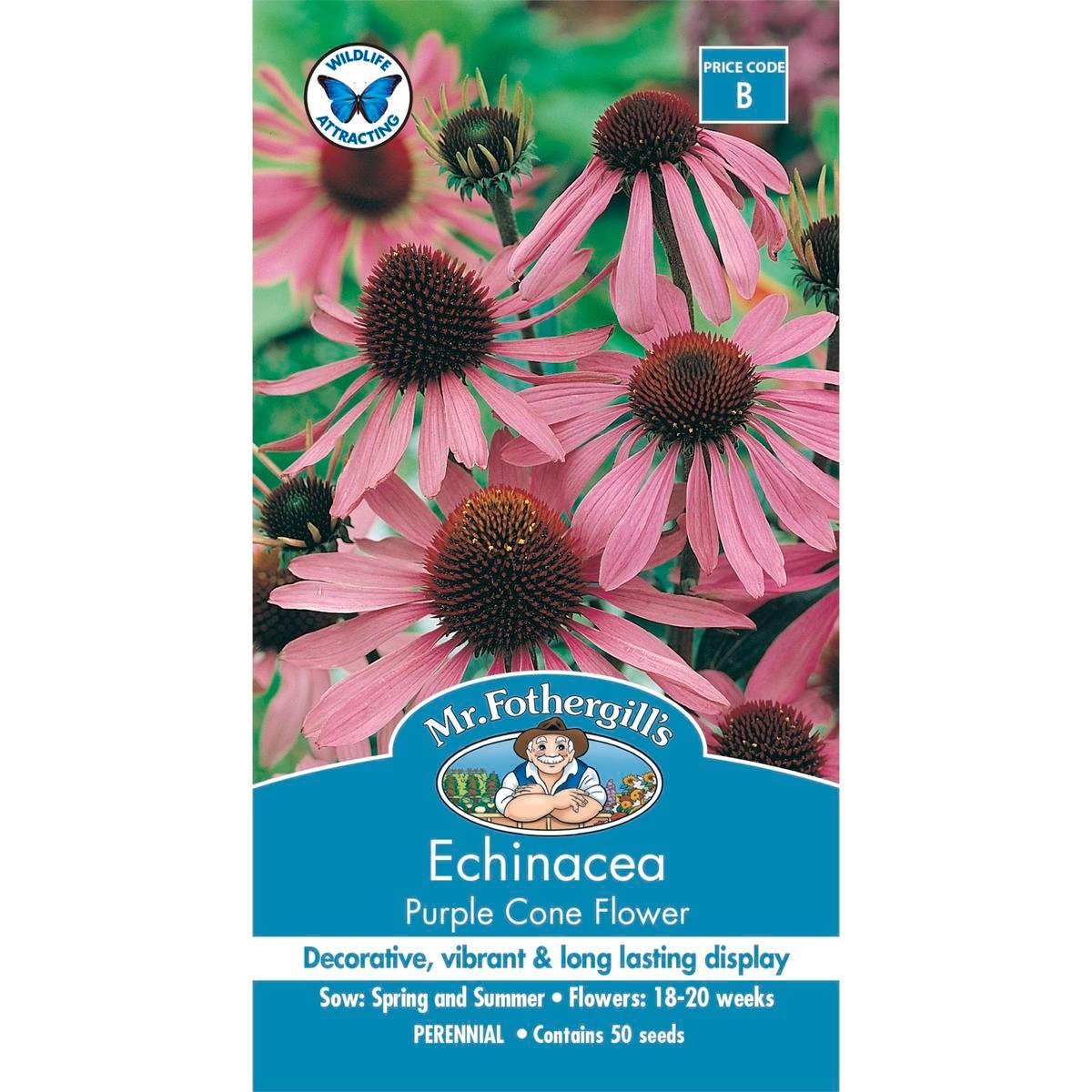 Mr Fothergill Echinacea Seeds - 75mm - Seeds - Attracts Beneficial Insects - SuperSaverAU - view 1
