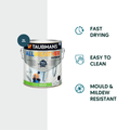 Taubmans 2L White Semi Gloss All Weather Exterior Paint Water Based UV Resistant