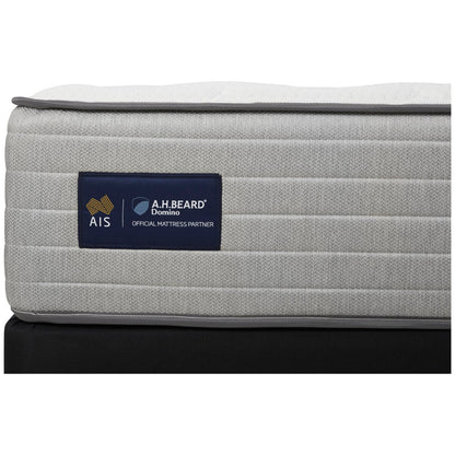 A.H. Beard Domino Lachlan Queen Mattress Firm