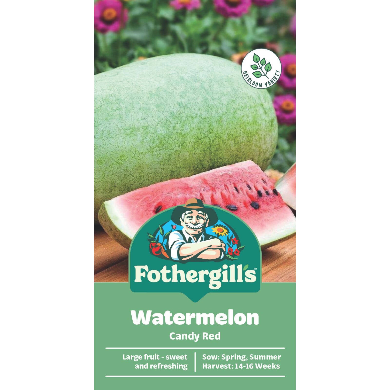 Mr Fothergill's Candy Red Watermelon Seeds - Large Sweet Summer Fruit