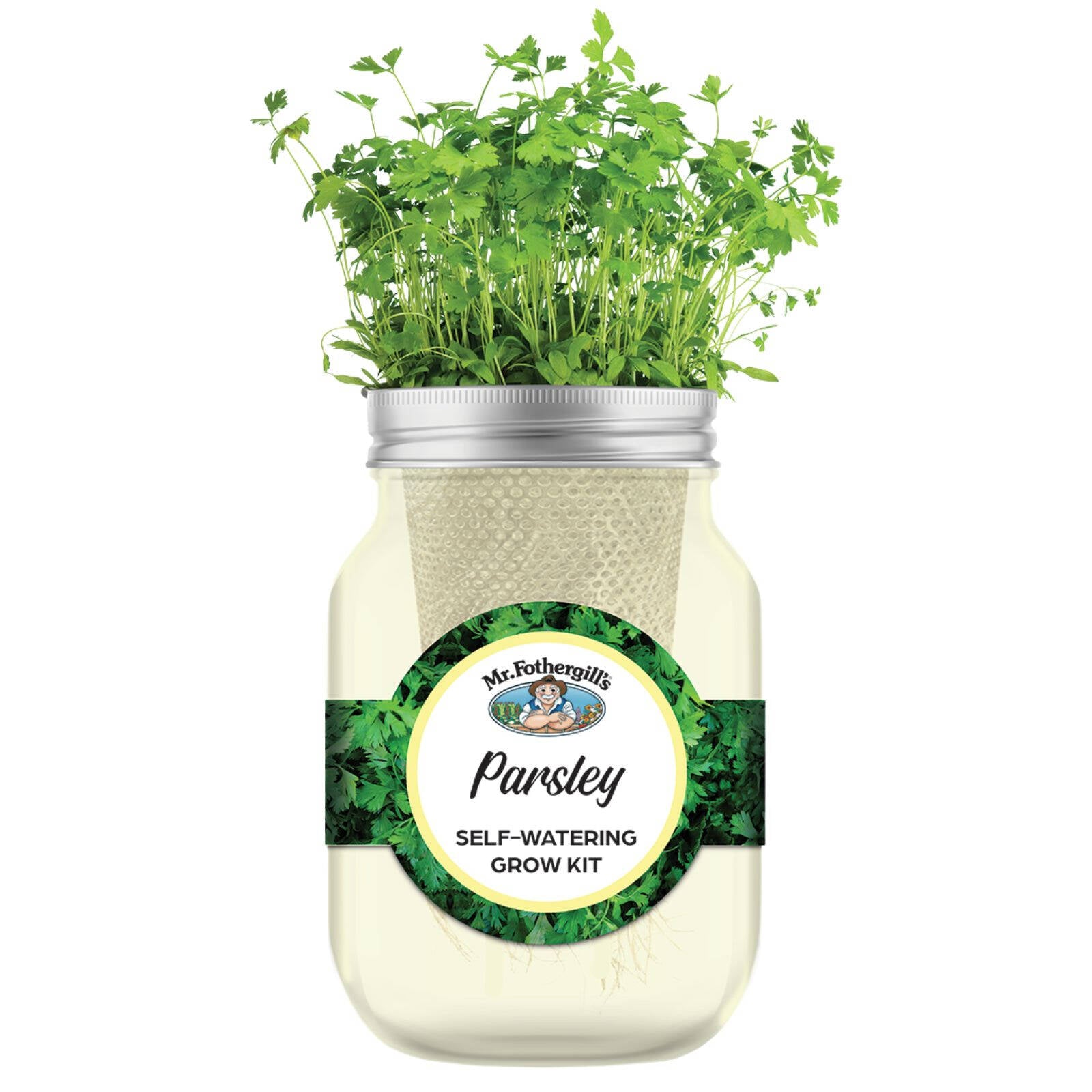 Mr Fothergill's Self Watering Mason Jar Parsley Grow Kit - Yellow Glass, Part Shade or Sun