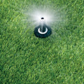 Rain Bird Dual Spray Quarter Pattern 50mm (2") Pop-Up Spray Head - SuperSaverAU - view 2