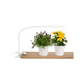 Home Grown Indoor Clip on Grow Light with Timer - 370mm - White - Adjustable Brightness - Compact Design - SuperSaverAU - view 2