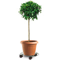 Eden Pot Plant Trolley - 35cm - Metal - Heavy Duty with Brake - SuperSaverAU - view 2