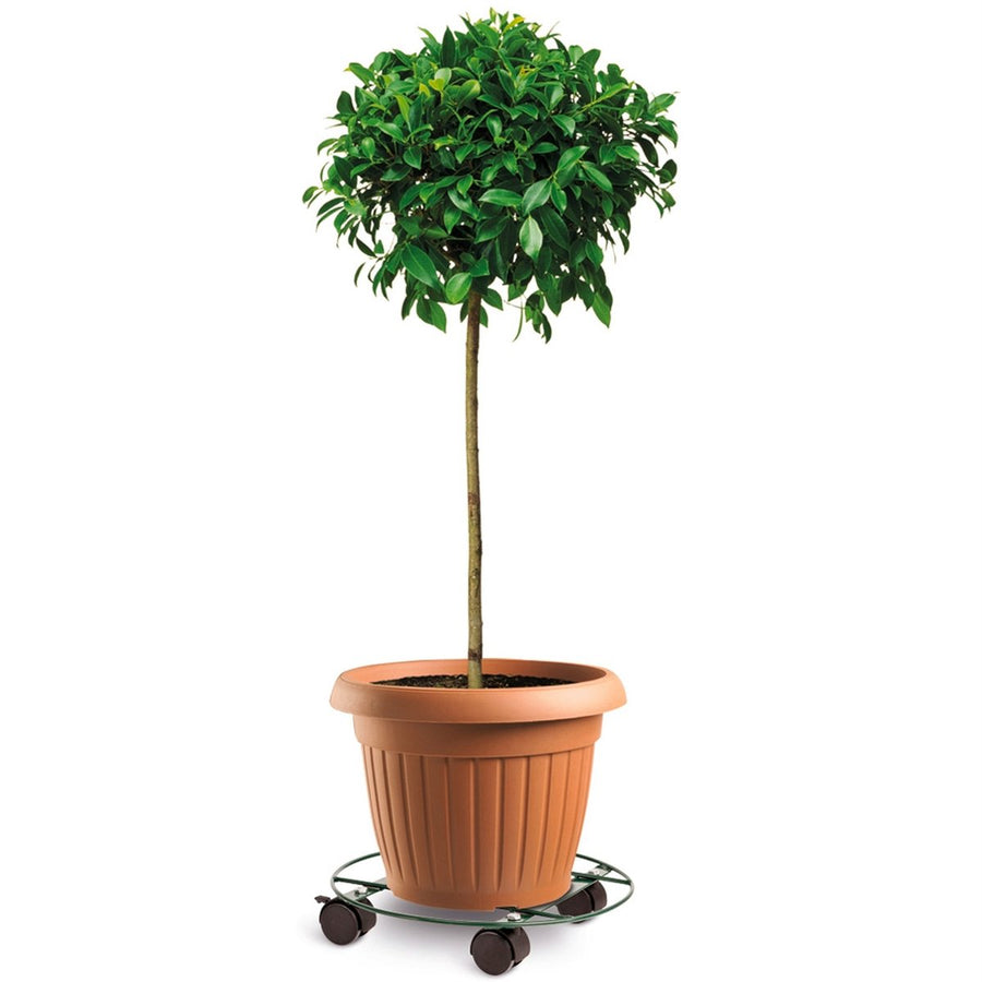 Eden Pot Plant Trolley - 35cm - Metal - Heavy Duty with Brake - SuperSaverAU - view 2