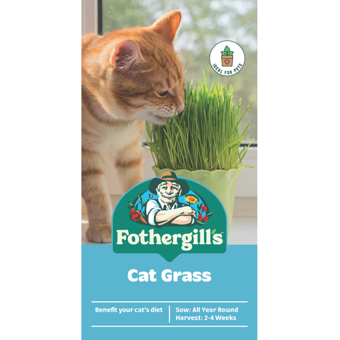 Mr Fothergill's Cat Grass Seeds