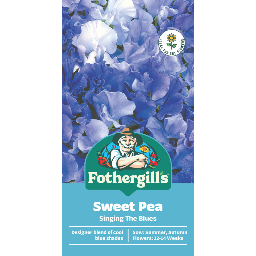 Mr Fothergill's Sweet Pea Singing The Blues Seeds Fragrant Blue Climber 180cm