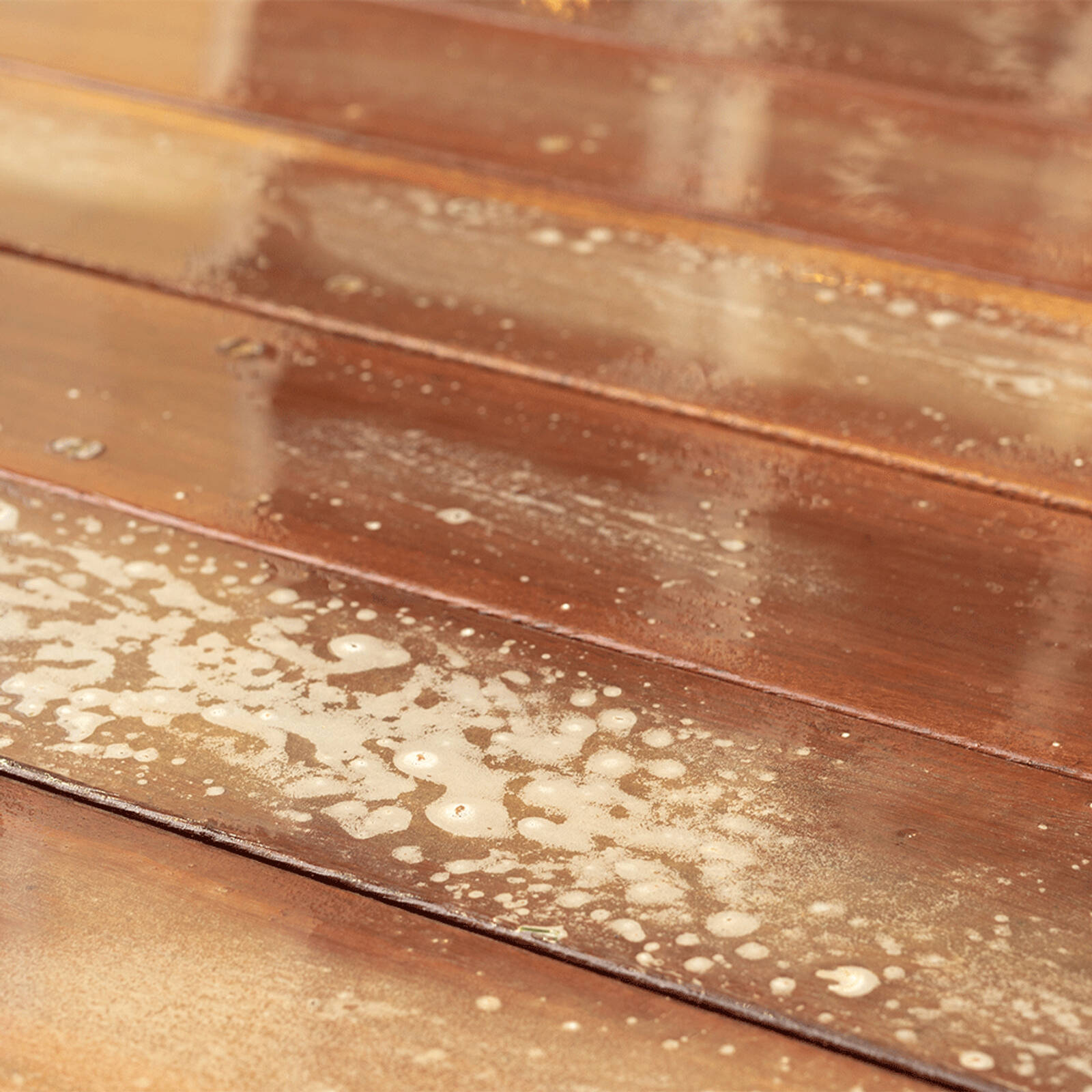 Intergrain 800g UltraPrep Mould Killer for Exterior Timber Prep