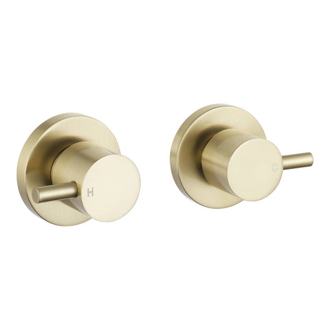 Mondella Resonance Brushed Brass 1/4 Turn Pin Lever Wall Top Assembly Stainless Steel