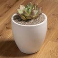 Tuscan Path Decorative Mixed Pebbles - 2kg 1-2mm - Pastel Mix - Indoor/Outdoor Use - SuperSaverAU - view 2