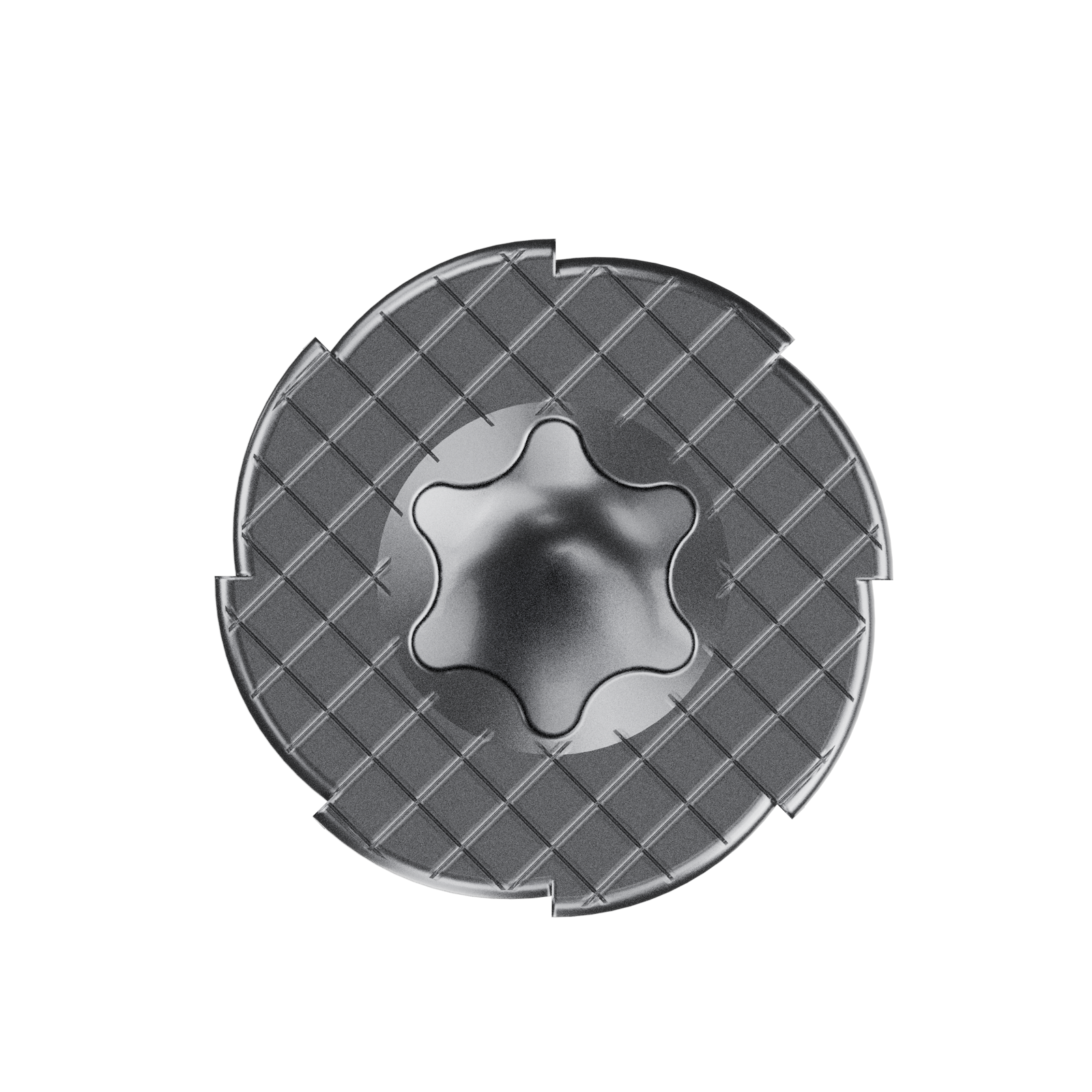 Bremick 10g x 40mm Fibre Cement Screw, Carbon Steel B8 Coating, T25 Drive Self Embedding Head Needle Point - 100 Pack