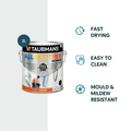 TAUBMANS 2L White Low Sheen Water Based Acrylic All Weather Exterior Paint