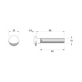 Zenith Cup Head Bolt - M10 x 60mm - Stainless Steel 304 - Rust Resistant - SuperSaverAU - view 2